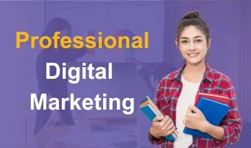 Professional Digital Marketing Course